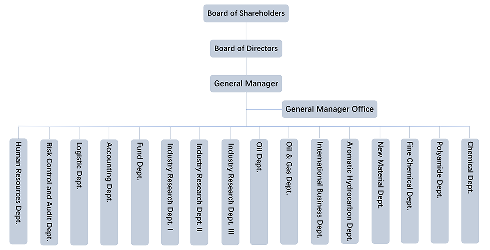 Organizational structure